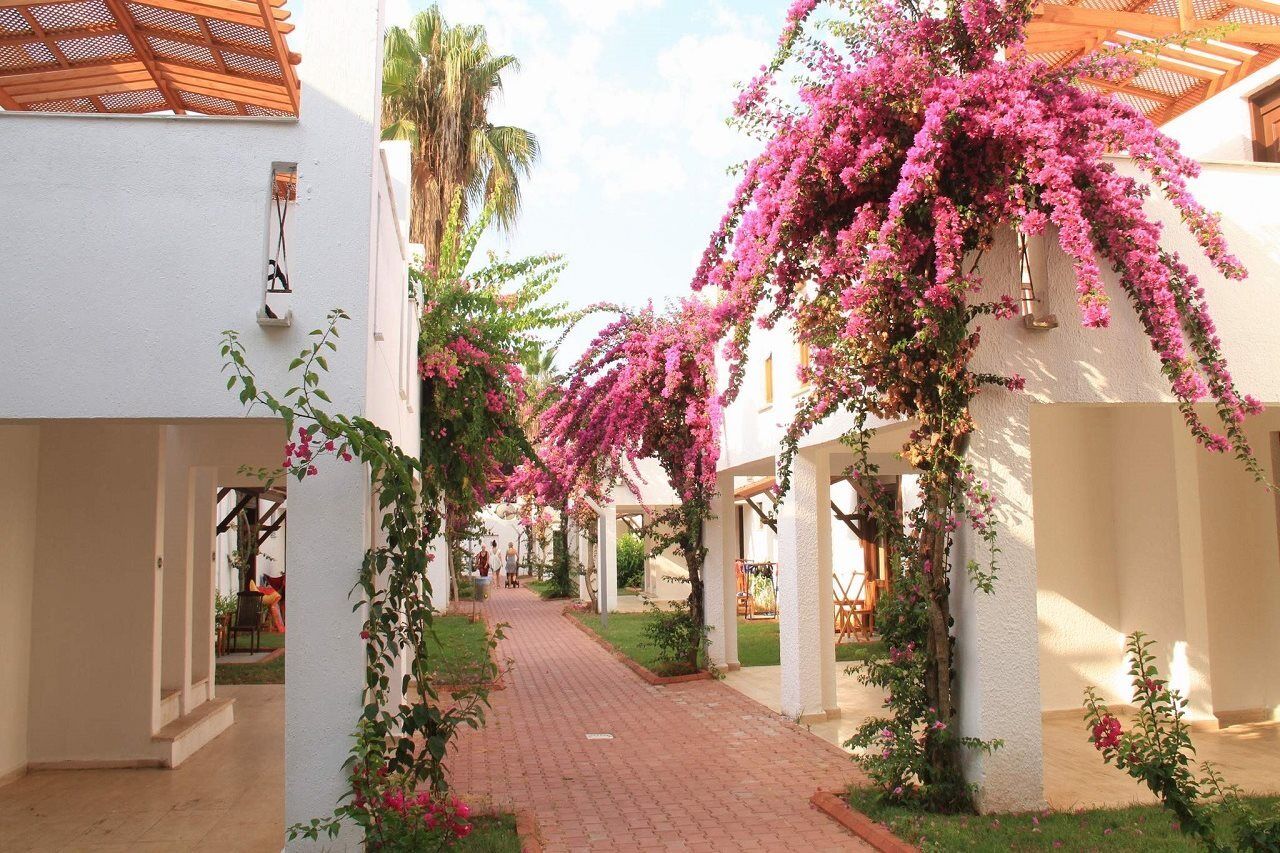 Club Kastalia Holiday Village Konaklı Kültér fotó